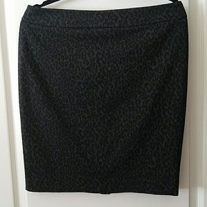 Ann Taylor skirt